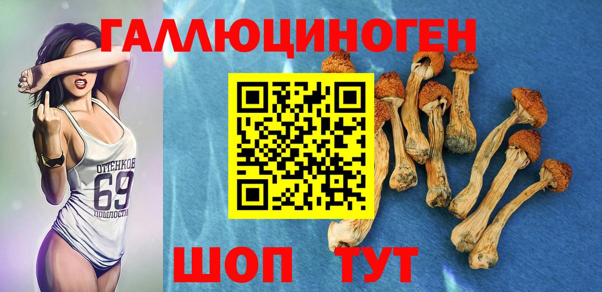 что такое наркотик  Вход с VPN  Кулебаки  Псилоцибиновые грибы MAGIC MUSHROOMS 