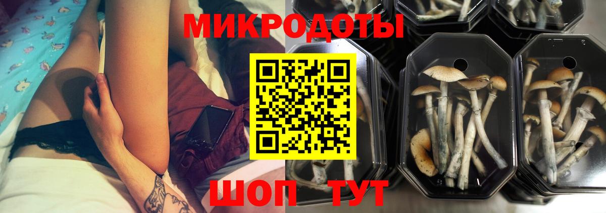 Галлюциногенные грибы Cubensis Кулебаки
